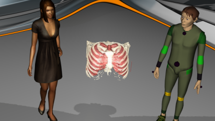 3D модель органов