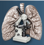 Центральный Научно-исследовательский Институт Российкой Академии Медицинских Наук